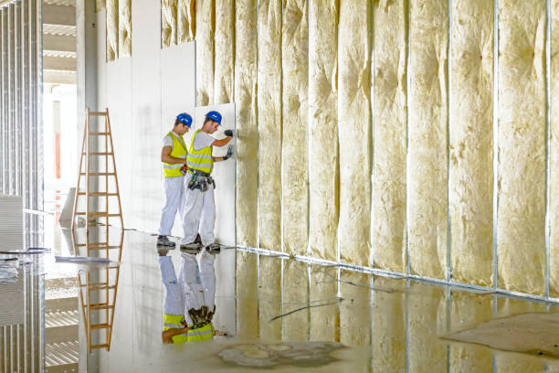 Best Residential Insulation in Cologne, NJ